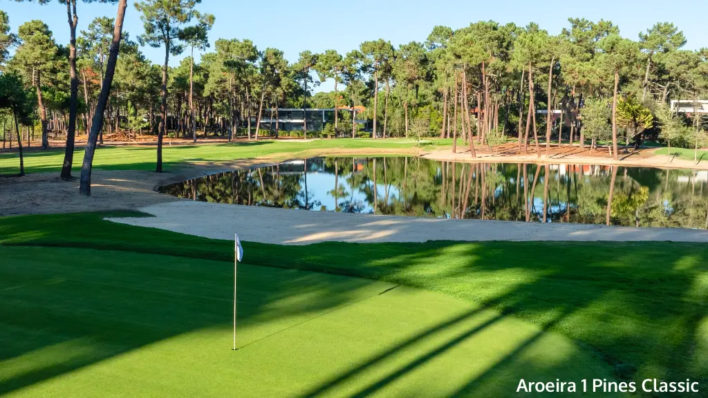 aroeira-1-pine-classic-7.webp