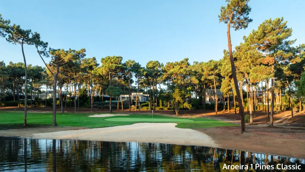 aroeira-1-pine-classic-16.webp