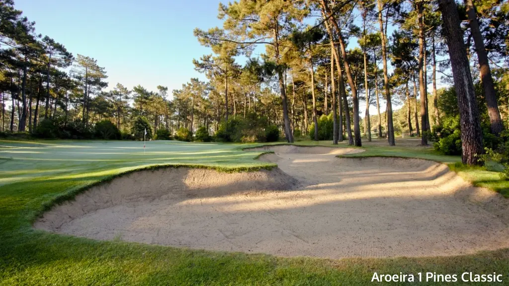 aroeira-1-pine-classic-9.webp