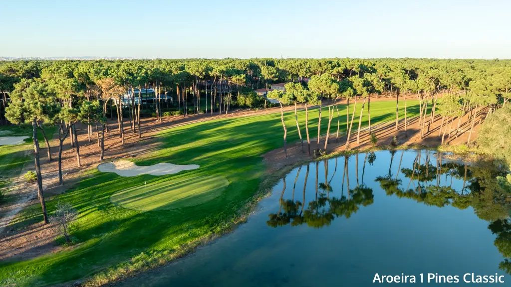 aroeira-1-pine-classic-3.webp