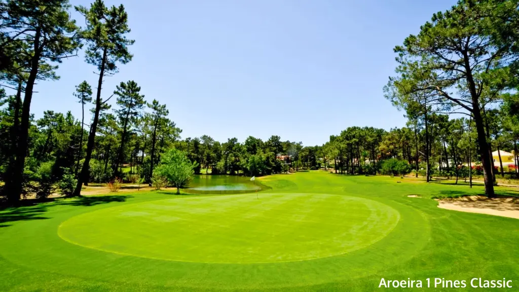 aroeira-1-pine-classic-11.webp