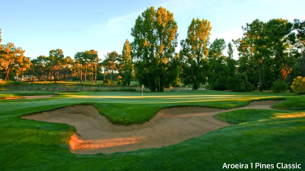 aroeira-1-pine-classic-12.webp