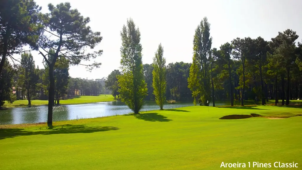 aroeira-1-pine-classic-13.webp