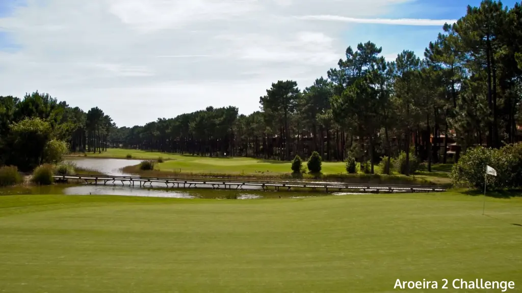 aroeira-2-challenge-3.webp