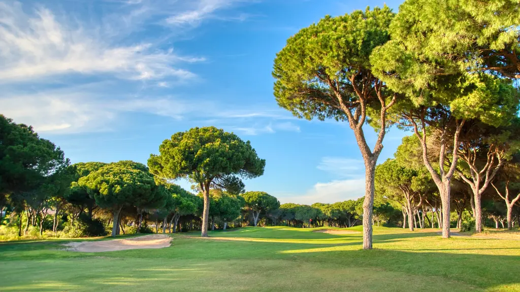 dom-pedro-millennium-golf-24.webp