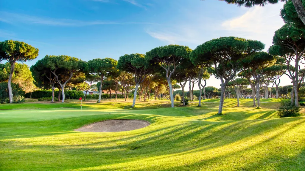 dom-pedro-millennium-golf-16.webp