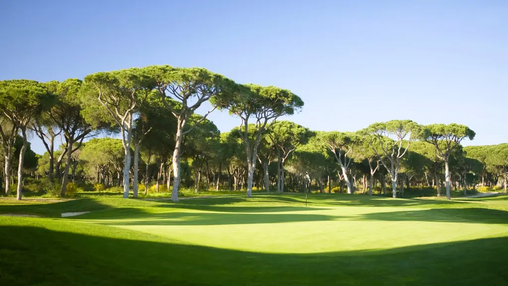 dom-pedro-millennium-golf-12.webp
