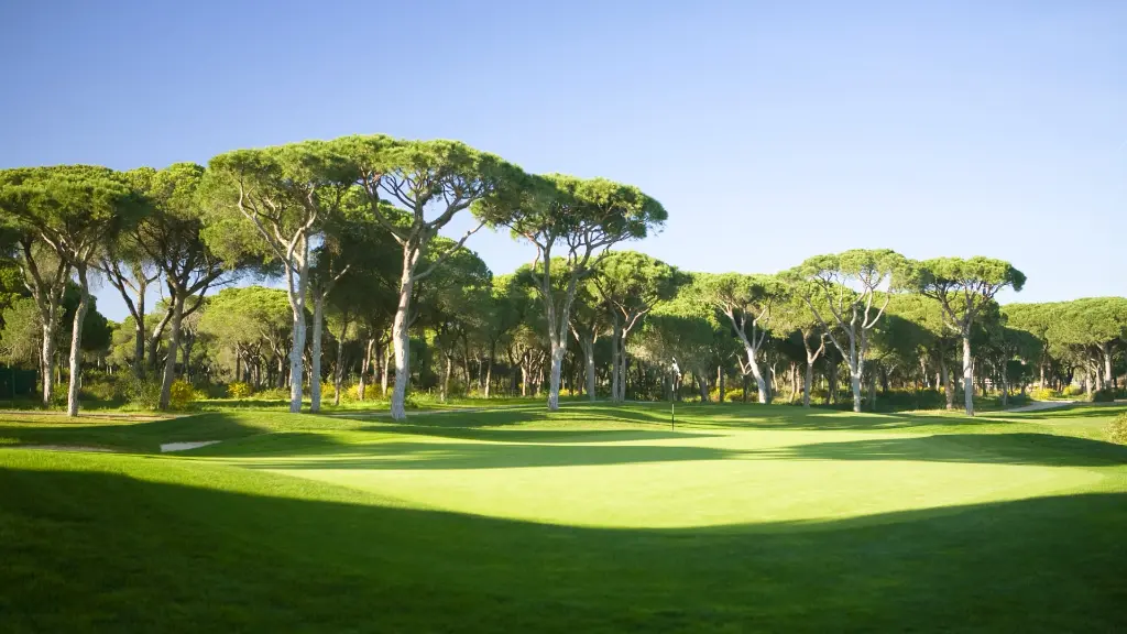 dom-pedro-millennium-golf-10.webp