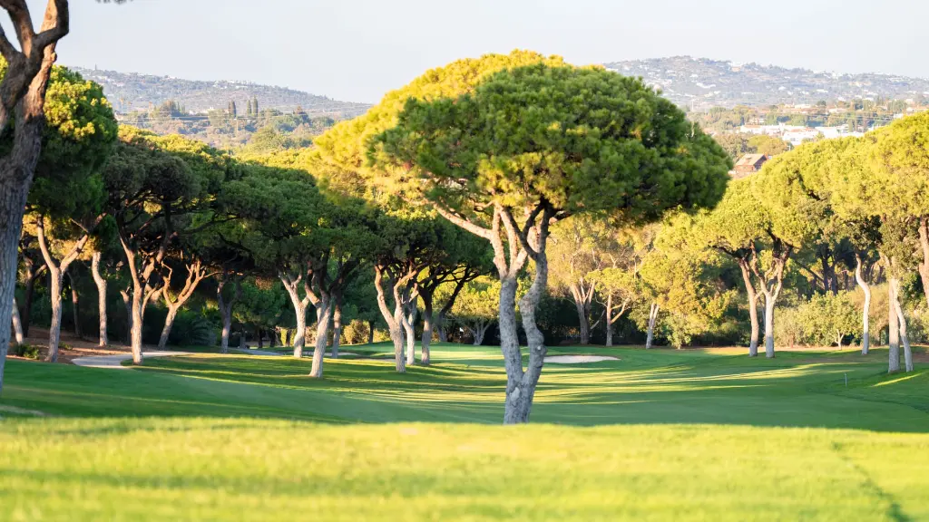 ol-course-vilamoura-14.webp