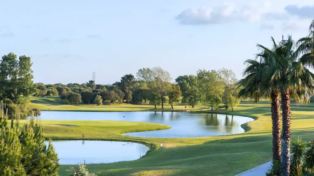 montado-golf-12.webp