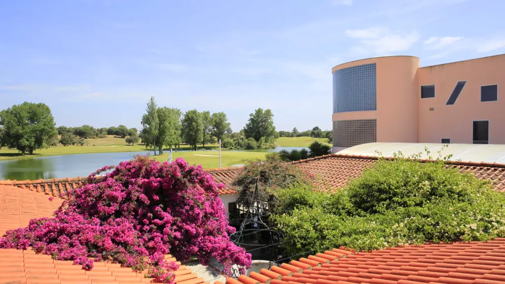montado-golf-2.webp