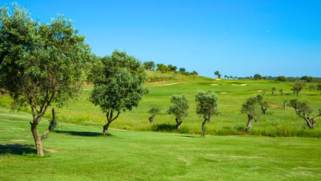 morgado-golf-14.webp