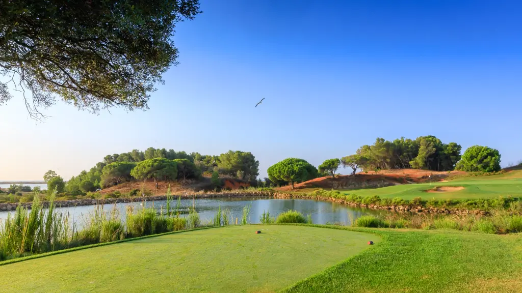 palmares-ocean-golf-40.webp