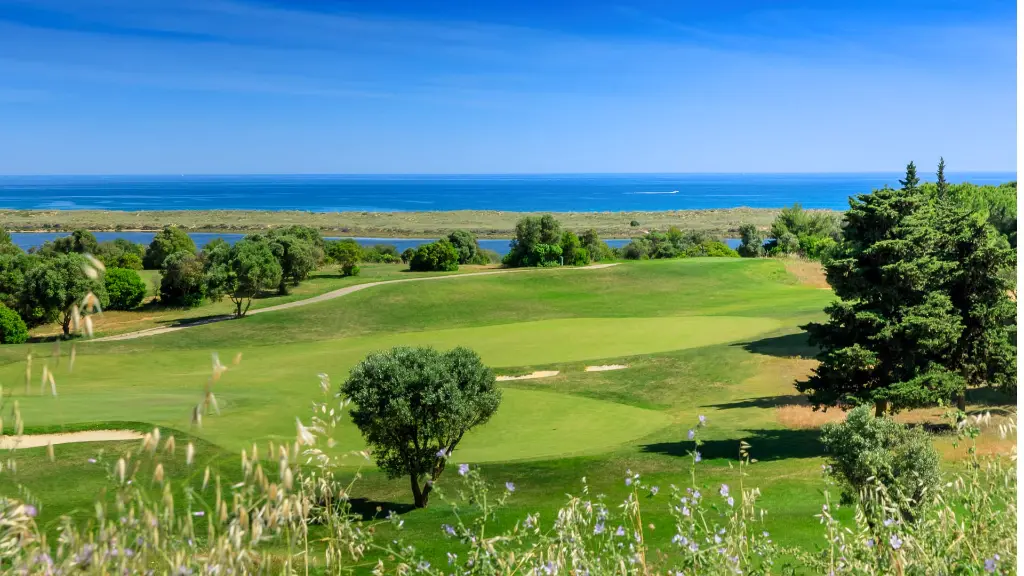 palmares-ocean-golf-2.webp