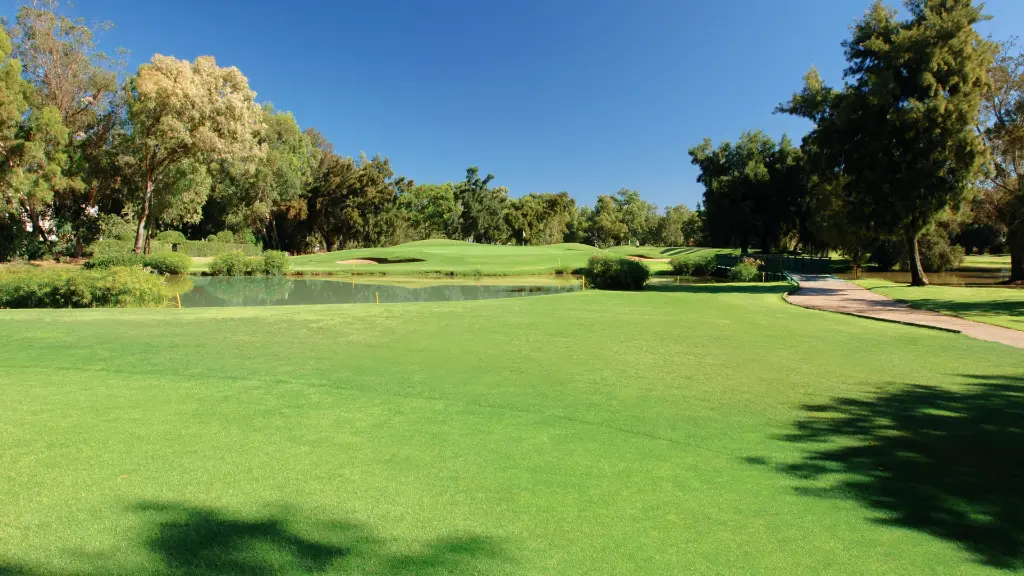 penina-golf-16.webp