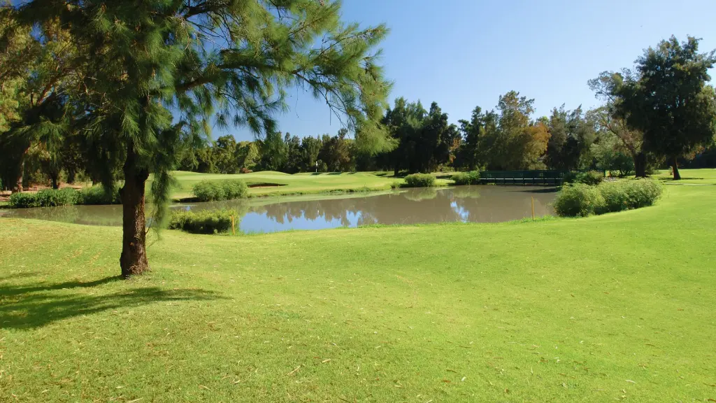 penina-golf-33.webp