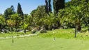 penina-golf-21.webp
