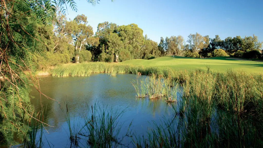 penina-golf-37.webp
