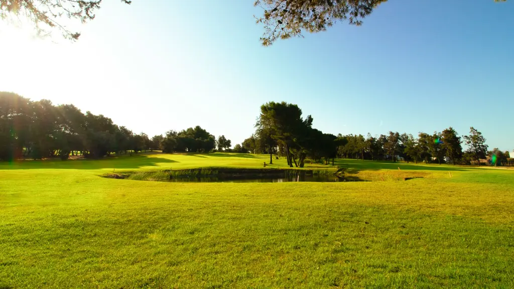 alto-golf-34.webp