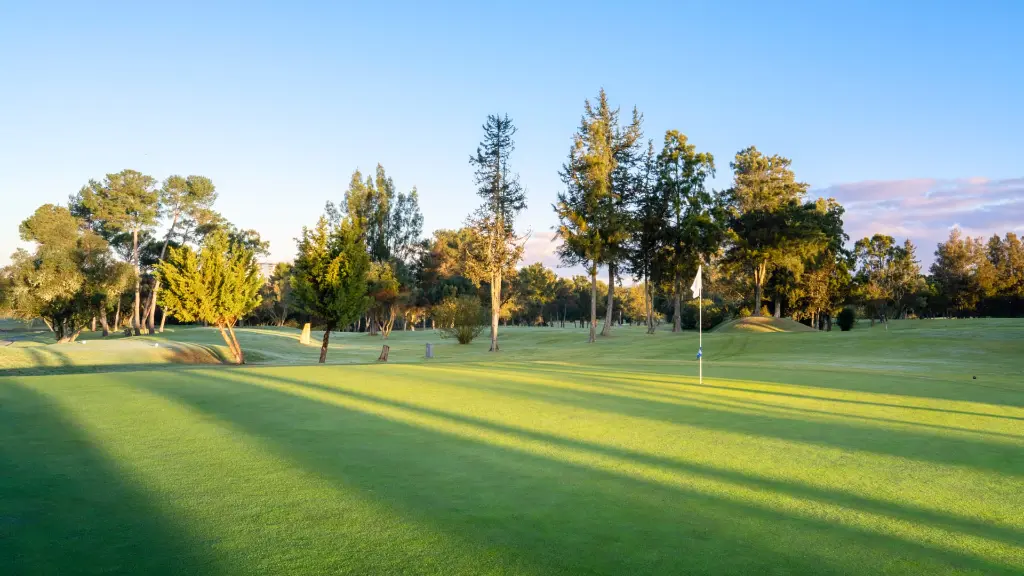 alto-golf-16.webp