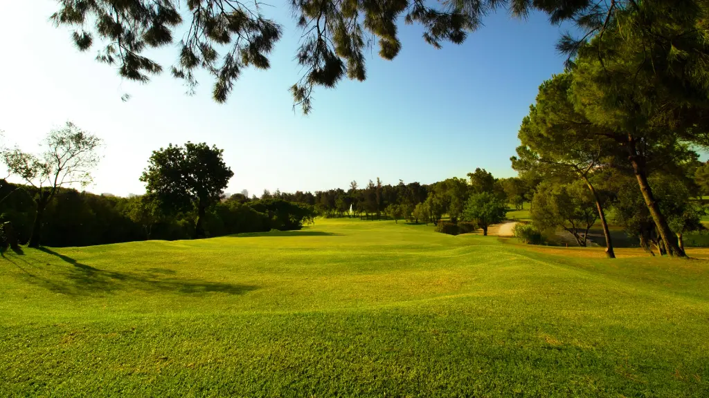 alto-golf-24.webp