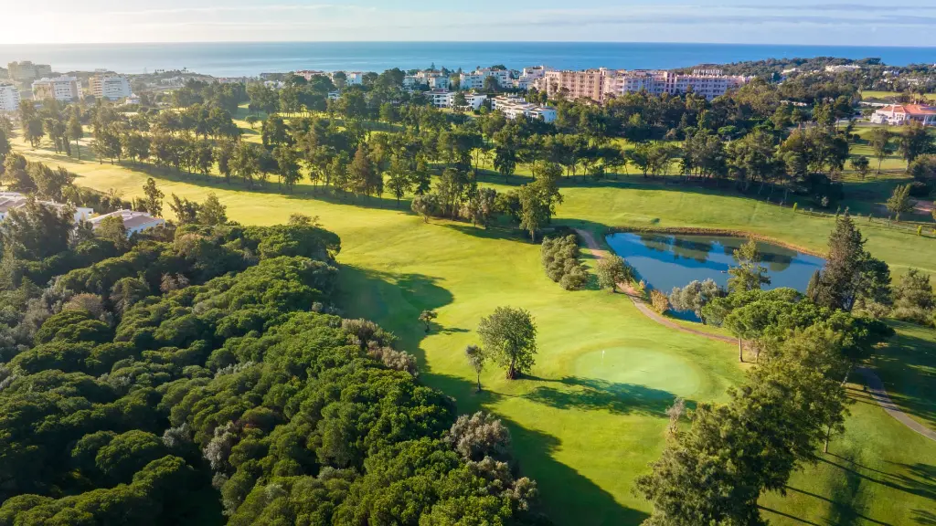 alto-golf-3.webp
