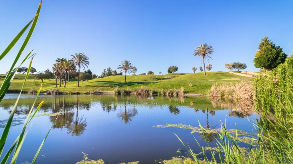 gramacho-golf-47.webp