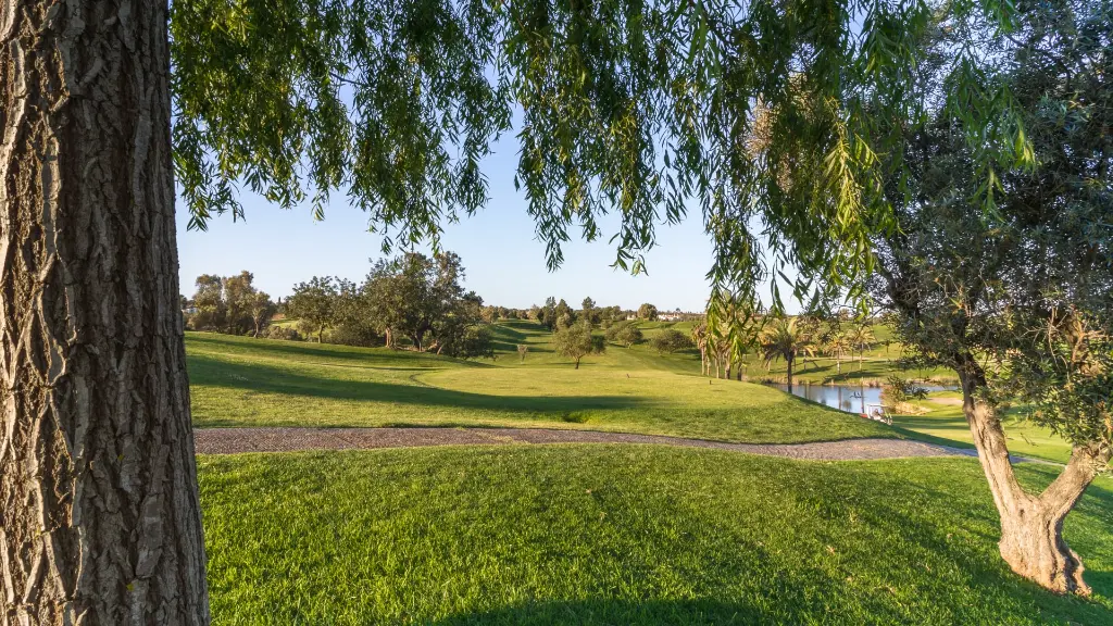 gramacho-golf-31.webp