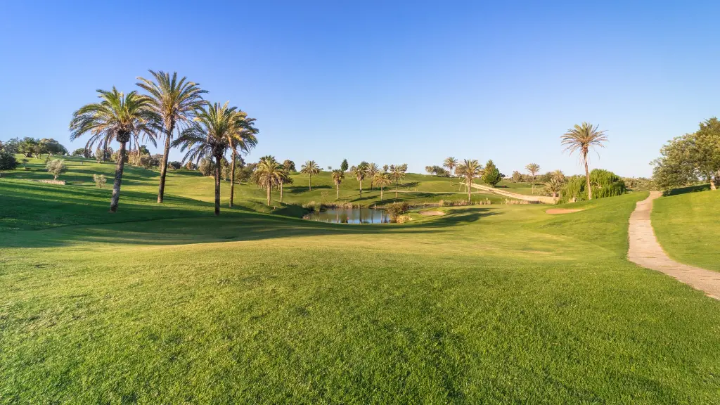 gramacho-golf-41.webp