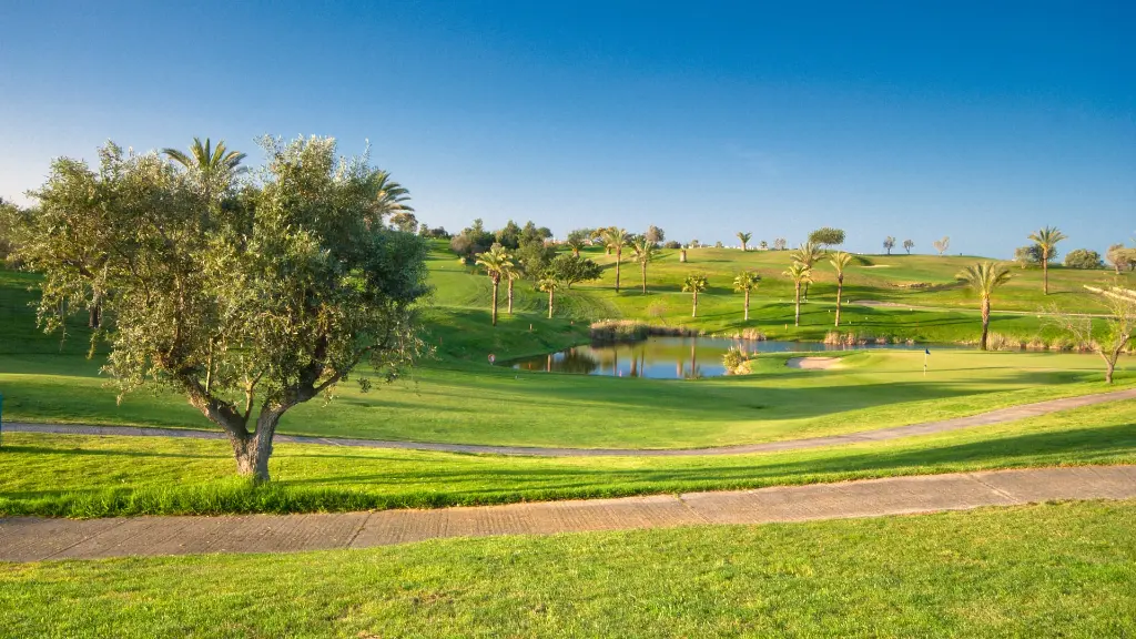 gramacho-golf-48.webp
