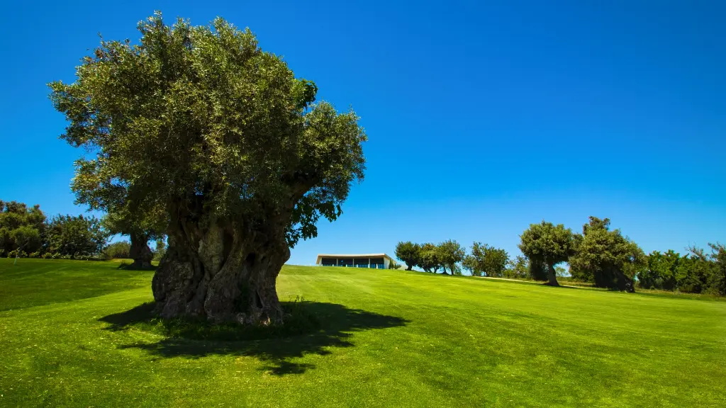 silves-golf-course-42.webp