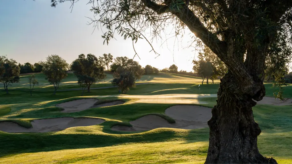 Vale-pinta-golf-11.webp