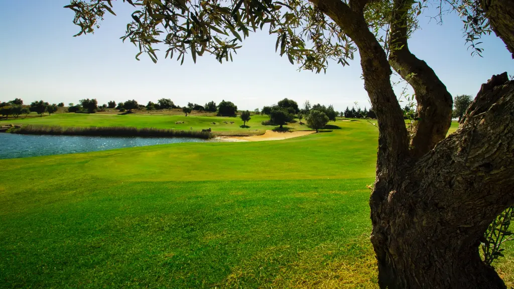 Vale-pinta-golf-13.webp