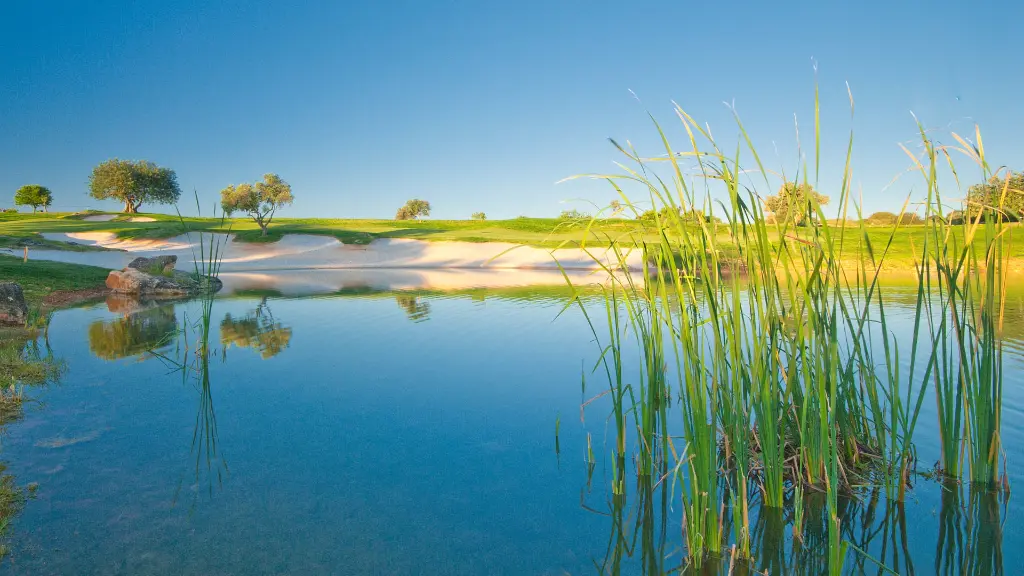 Vale-pinta-golf-17.webp
