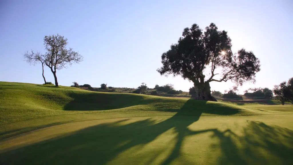 Vale-pinta-golf-44.webp
