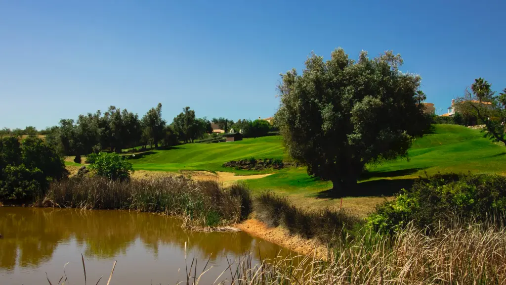 Vale-pinta-golf-18.webp
