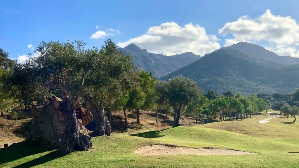 Lauro Golf 38.webp