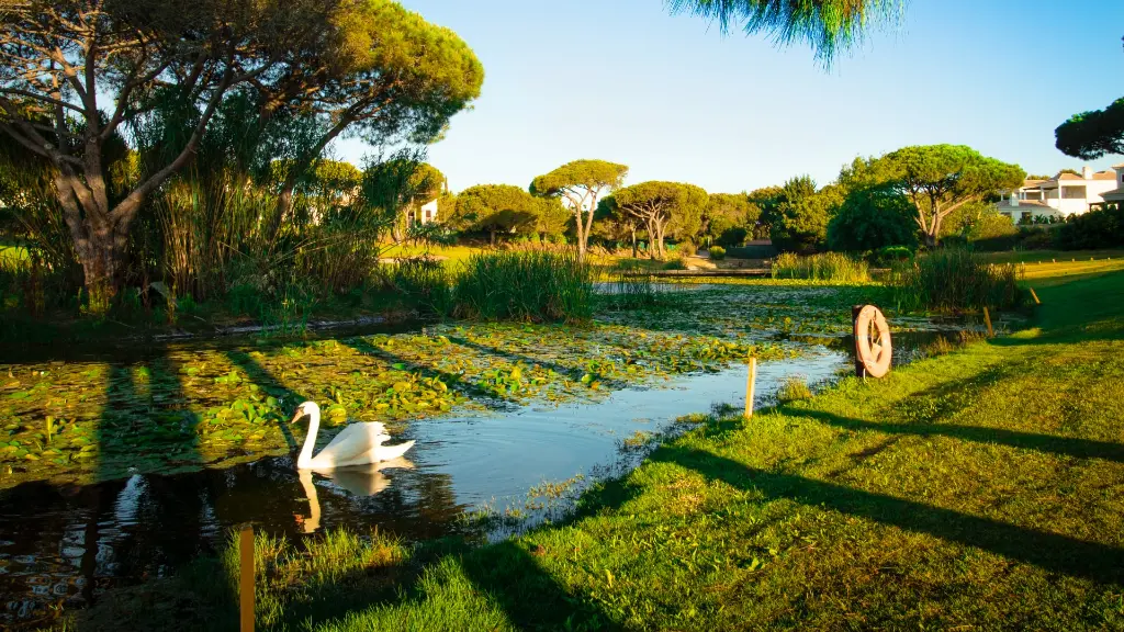vila-sol-golf-6.webp