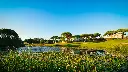 vila-sol-golf-32.webp