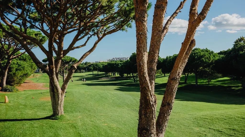 pine-cliffs-golf-13.webp