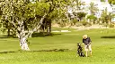 pine-cliffs-golf-15.webp