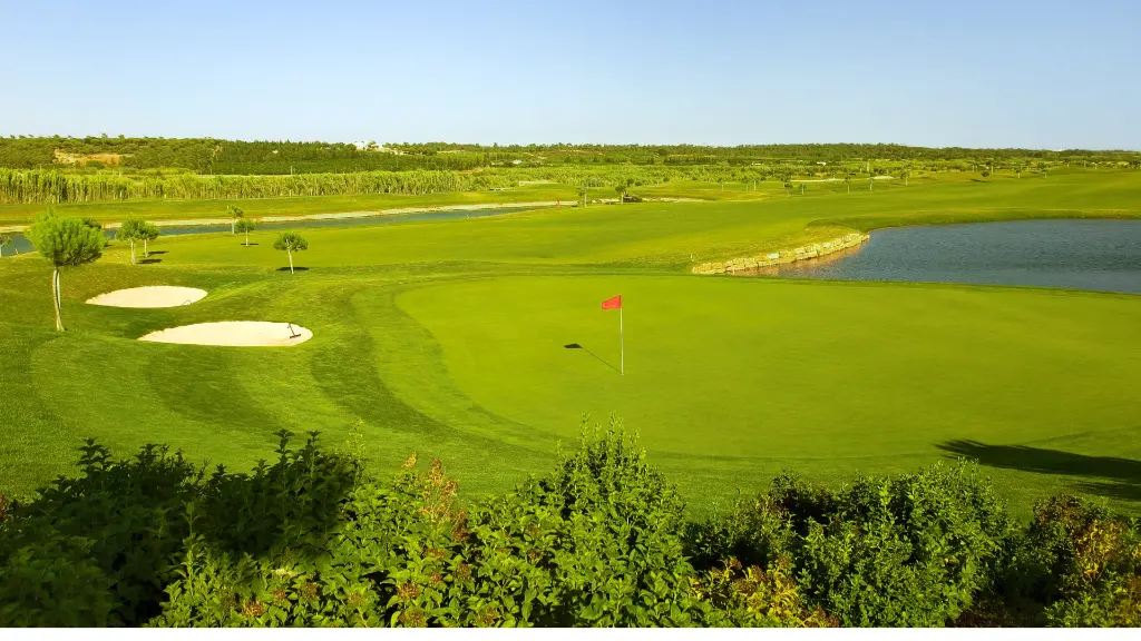 pinheiros-alto-golf-6.webp