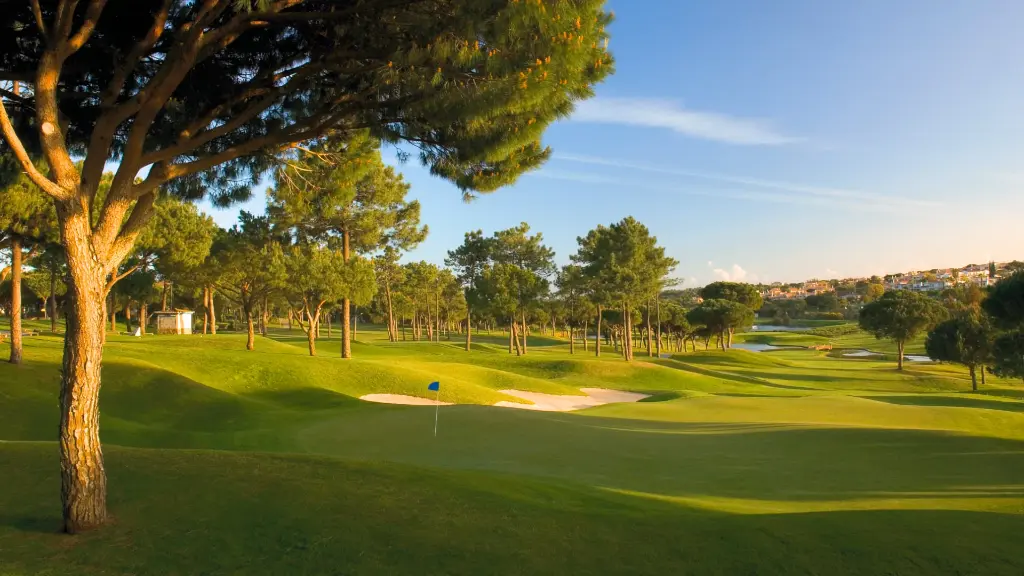 pinheiros-alto-golf-1.webp