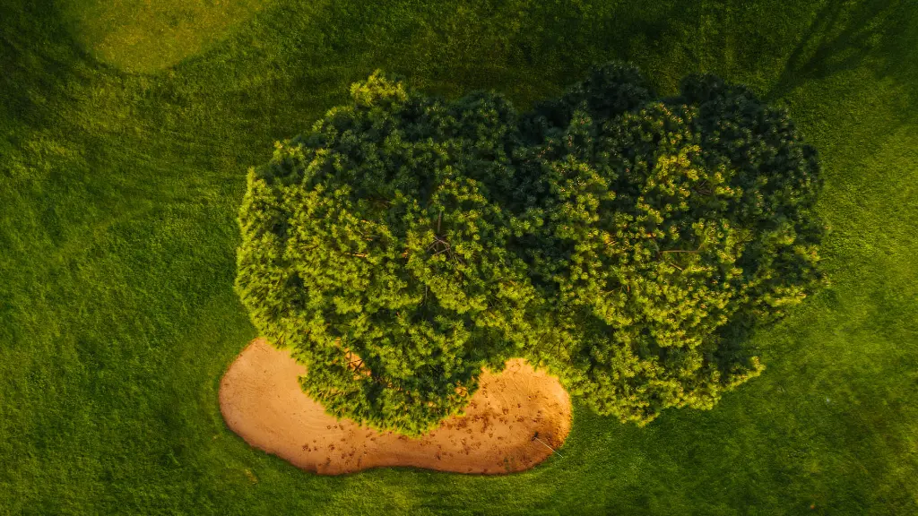 Quinta-da-marinha-26.webp