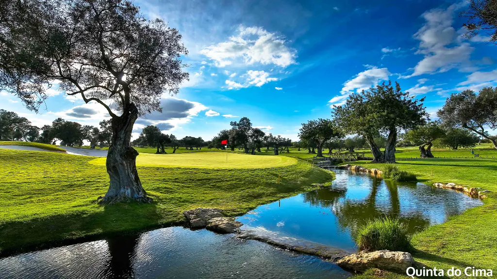 Quinta-do-Cima-5.webp
