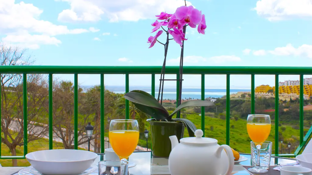 Manilva Sun Aparthotel 5.webp