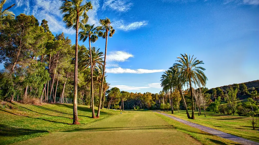 paraiso-golf-25.webp