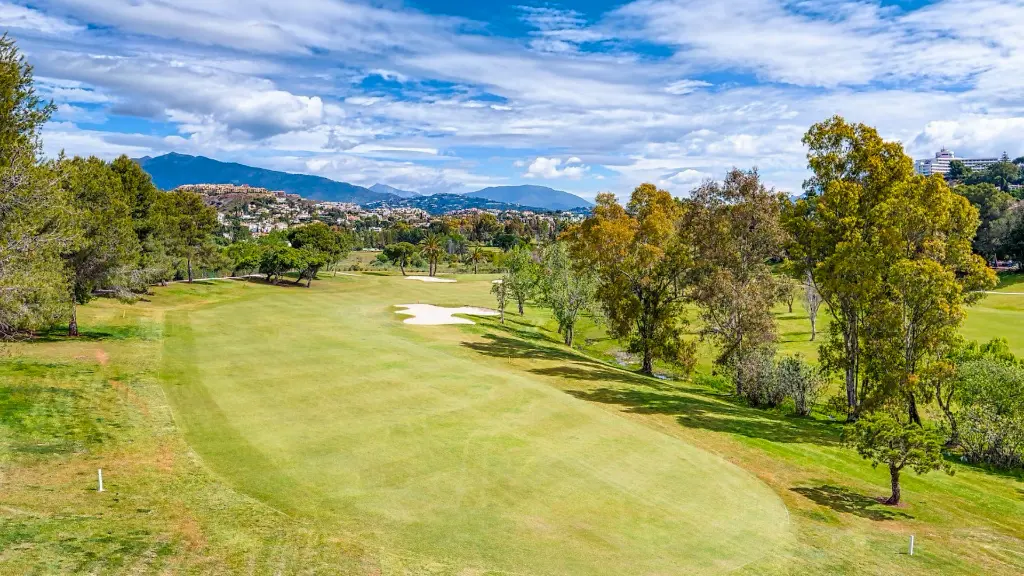 paraiso-golf-12.webp