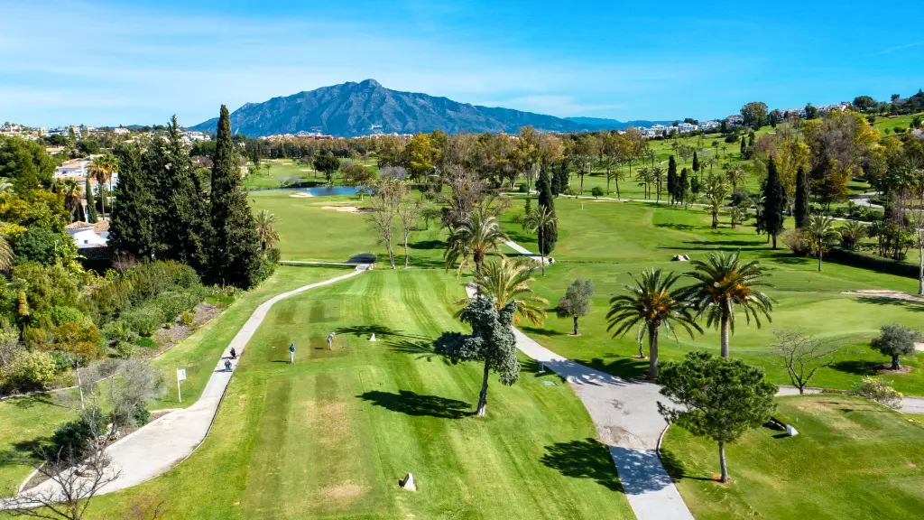 paraiso-golf-2.webp