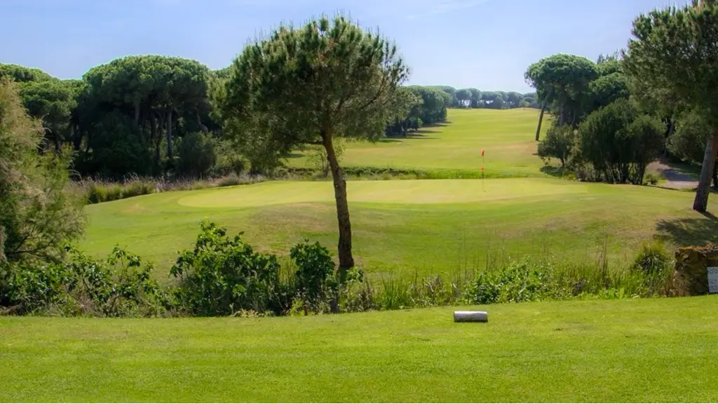 golf-nuevo-portil-13.webp